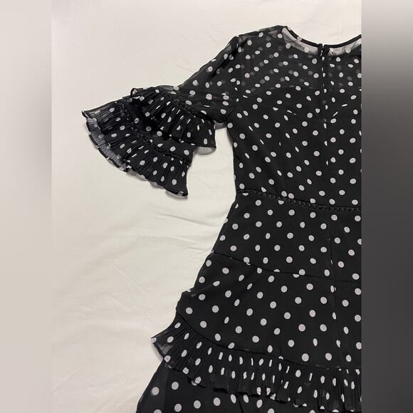 Keepsake Polka Dot Fit & Flare Ruffle
Mini Dress small - Picture 11 of 14